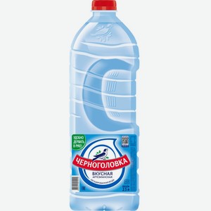 Вода питьевая ЧЕРНОГОЛОВКА артезианская негаз. ПЭТ, Россия, 2.5 L