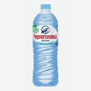 Вода питьевая Черноголовка Артезианская негазированная 0,5 л