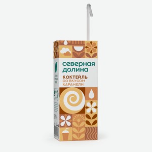 Коктейль молочный «Северная долина» карамель 2,5% БЗМЖ, 205 г