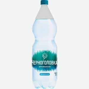 Вода ЧЕРНОГОЛОВКА Артезианская негазированная, 2л