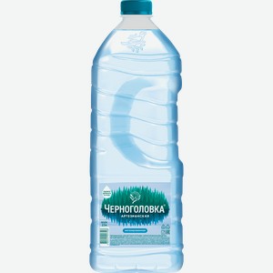 Вода питьевая ЧЕРНОГОЛОВКА артезианская негазированная, 2.5л